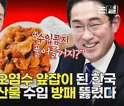 오염수 대변인 된 한국…일본산 수산물 수입 방패 뚫렸다 [논썰]