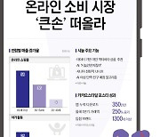 [IT IS리포트] "내 나이가 어때서" 온라인 큰 손 떠오른 시니어·X세대