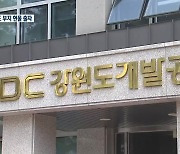 [여기는 원주] 원주 옛 드림랜드 부지 현물 출자…제2종축장 우려