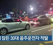 도로에 잠든 30대 음주운전자 적발