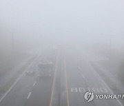 앞이 안보이는 안개…제주공항 결항·지연 속출