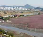 ‘막대한 예산’ ‘땅 소송’…늪에 빠진 습지공원