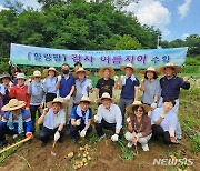 안양 범죄피해자 지원센터, 감자 ‘여름지이’ 캤다