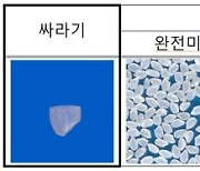 ‘쌀 등급기준’ 개정…싸라기 혼입한도 대폭 강화