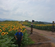 [사람in] "주민이 키운 해바라기가 마을 재생의 씨앗"