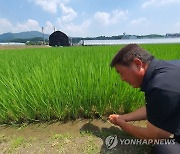 폭염이 기승을 부린 경기 여주시 대신면 옥촌2리