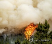 Canada Wildfires