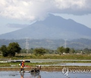 INDONESIA AGRICULTURE