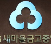 행안부, 새마을금고 5주간 특별검사…"부실 우려할 수준아냐"