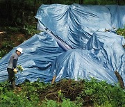 산림청, 전국 산사태 위기경보 '주의' 단계로 올려