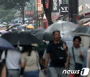 다시 시작된 우산행렬