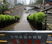 청계천 산책로, 장맛비 영향에 출입 통제