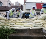 튼튼하게 모래주머니 제방 쌓는 동구청 직원들