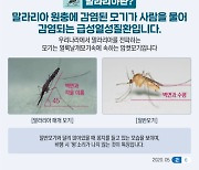 말라리아 환자 급증…주요 증상과 예방 수칙은?