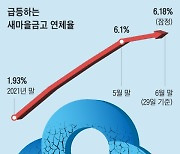 “일부 새마을금고 연체율 20~30%”… 1294곳 중 100곳 특별 관리