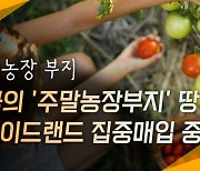 부동산 매매 플랫폼 트레이드랜드, 주말 농장 부지 매입