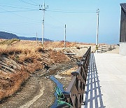 [사설]줄줄 샌 태양광 ‘기금’… 거품 걷어내 내실 키워야