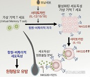 KAIST, 원형탈모 일으키는 면역 T 세포 발견…새로운 치료전략 제시