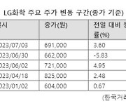 '60만원선'까지 추락한 LG화학, 바닥 지났나...꽁꽁 언 투심 녹을까