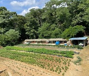 [현장] 30년 개농장 자리에 고추밭…“늘 죄인 같았는데 후련해”