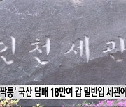 '짝퉁' 국산 담배 18만여 갑 밀반입 세관에 적발