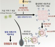 [지금은 과학] 원형탈모증 원인 찾았다