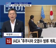 [정치와이드] IAEA "日 방류 계획, 안전 기준 부합"