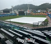 쏟아지는 장맛비 영향…대전·인천·잠실 세 경기 우천 취소 (종합)