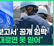 [영상] IAEA '오염수 보고서' 공개 임박…민주 "이대로면 못 믿어"