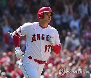 '6월 15홈런' 오타니, MLB 주간·월간 MVP 독식