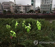 경찰, 영아 살해 유기 사건 시신 수색