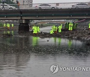 거제 영아 살해 유기 사건 시신 수색