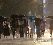 '비가 많이 내리네'