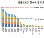 5대은행·지주, 금융체계상 중요 금융기관 선정