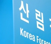 전국 산사태 위기경보 주의→관심 하향…비 소강상태