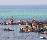 파리서 '제주해녀문화' 특별전시…세계무형유산 20주년 기념