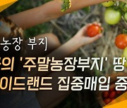 부동산 긴급 매매 플랫폼 트레이드랜드, 주말 농장 부지 매입