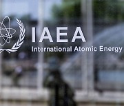 IAEA "日오염수 샘플, 한국과 추가분석…하반기 발표"