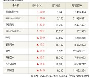 [fnRASSI]장마감, 코스닥 상승 종목(웰킵스하이텍 30.0% ↑)