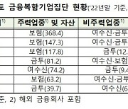 삼성·현대차·한화 등 7개 그룹 금융당국 감독받는다..금융복합기업집단 지정