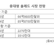 중대형 OLED 시장, 내년 50% 성장 전망.."中 당장 추격 어렵다"