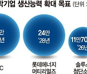 자회사 매각·유상증자… '쩐의 전쟁' 벌이는 동박 삼총사