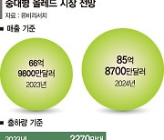 내년 중대형 OLED 시장 55% 성장…"中보단 韓기업 유리"