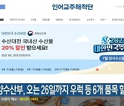 해양수산부, 오는 26일까지 우럭 등 6개 품목 할인