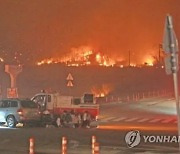 강원 고성산불 보상금 구상권 놓고 정부·한전 법정 다툼…1심서 한전 승소