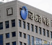 SBI·페퍼 등 저축은행 5곳 ‘무더기 제재’…주담대 부당취급