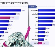 국가대표주 삼성전자 가장 저평가