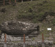 ‘팔공산에 남겨진 태조 왕건’전, 대구방짜유기박물관