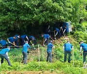 부산 '출생 미신고' 수사 의뢰 30건…1건은 정식 입건 조사