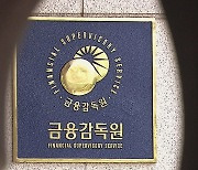 지난해 상장사 5% 감사보고서 정정…재무제표 최다